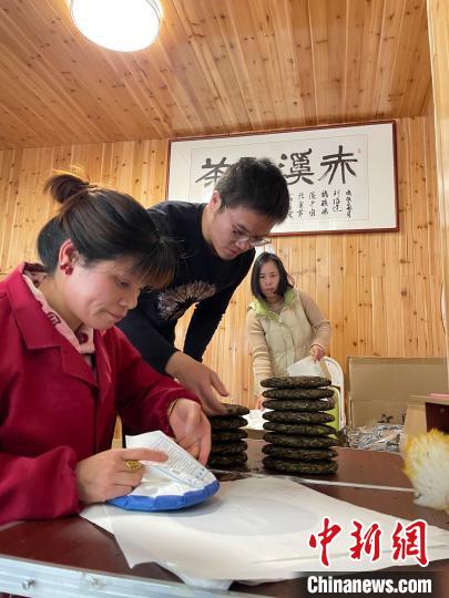 資料圖：杜贏(左二)在整理白茶餅?！×执阂?攝